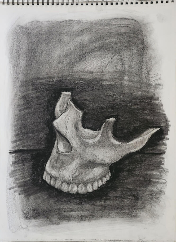 Charcoal 24 in x 18 in Charcoal 24 in x 18 in